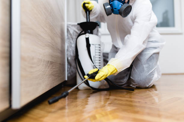 Reliable West End, NY Pest Control Solutions