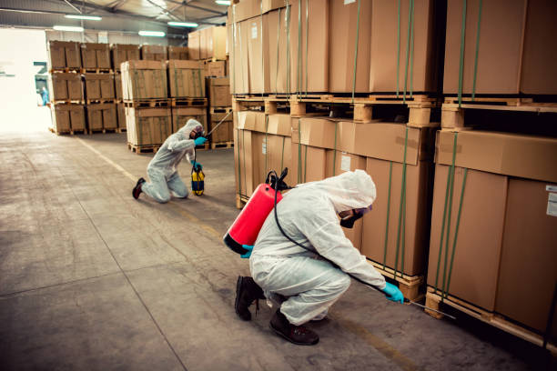 Professional Pest Control in West End, NY