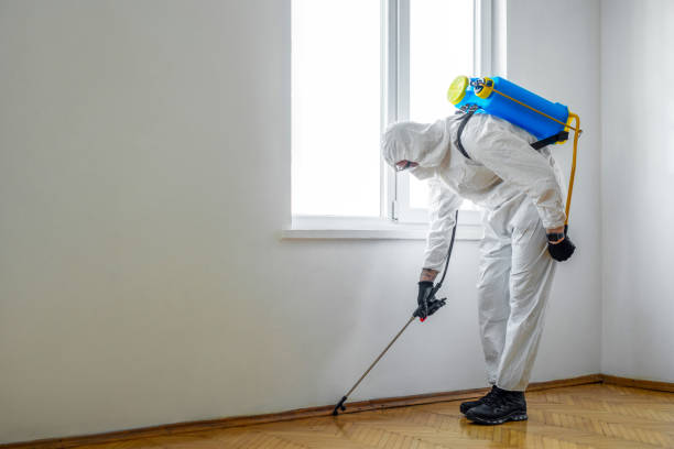 Best Pest Removal Services  in West End, NY
