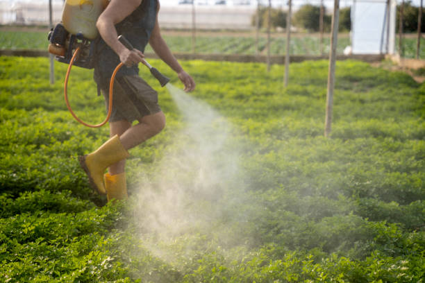 Best Local Pest Control Services  in West End, NY