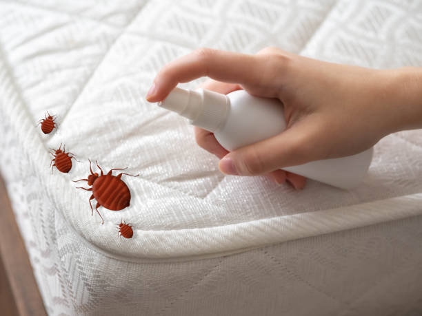 Pest Control Cost in West End, NY