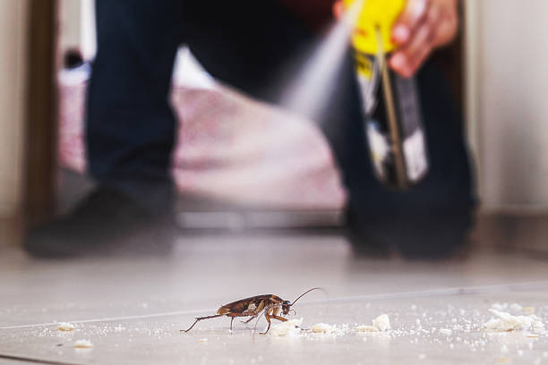 Best Commercial Pest Control Services  in West End, NY