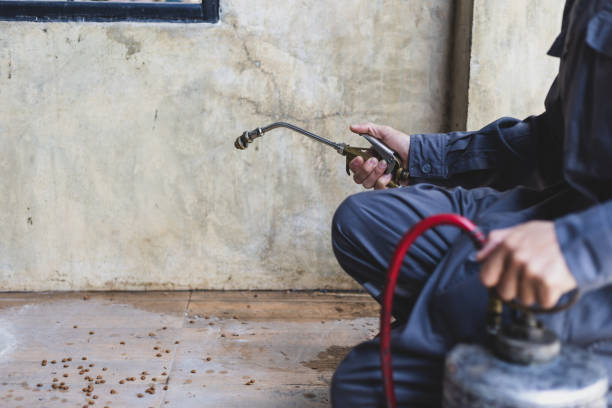 Best Exterminator Services  in West End, NY
